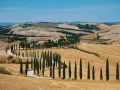 Un casale toscano circondato da cipressi lungo le strade del vino toscana, con dolci colline dorate sotto un cielo azzurro.