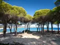 Ombra di pini sulla sabbia dorata, con il mare azzurro e la spiaggia Budoni sullo sfondo.