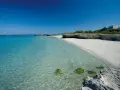 Spiaggia bianca e mare cristallino in Puglia, con rocce e vegetazione. Un angolo di paradiso per godersi il sole e il **mare** della **Puglia**.