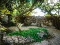 Un angolo del borgo Lu Puleu, con un muretto di pietra ricoperto di verde e alberi secolari che creano un'atmosfera suggestiva.