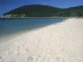 Spiaggia dorata e mare cristallino a Grosseto Mare, con una collina verdeggiante sullo sfondo e una barca a vela all'orizzonte.