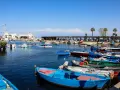 Porto pugliese con barche colorate e palme. Ideale per tappe in macchina in Puglia, tra mare e relax.