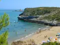 Splendida spiaggia di Peschici con gente che si gode il sole e il mare cristallino, incorniciata da una scogliera verdeggiante.