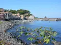 Il lungomare di Acireale, con case colorate, barche ormeggiate e il mare azzurro.