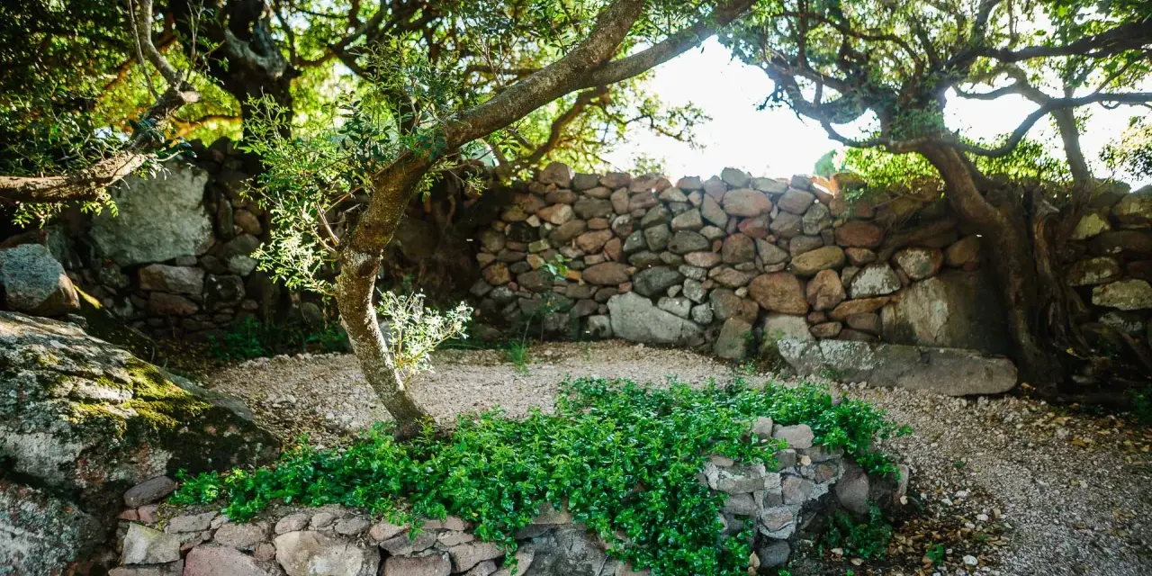 Un angolo del borgo Lu Puleu, con un muretto di pietra ricoperto di verde e alberi secolari che creano un'atmosfera suggestiva.