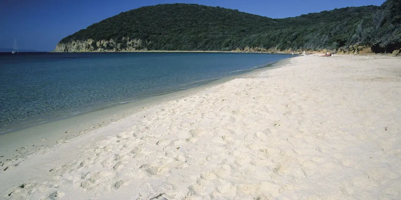 Spiaggia dorata e mare cristallino a Grosseto Mare, con una collina verdeggiante sullo sfondo e una barca a vela all'orizzonte.