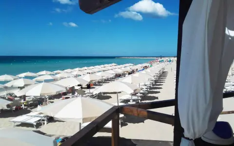 Ombrelloni bianchi e lettini ordinati sulla sabbia dorata, con il mare azzurro e il cielo limpido a fare da sfondo. Un'immagine perfetta di mamire lido Marini.