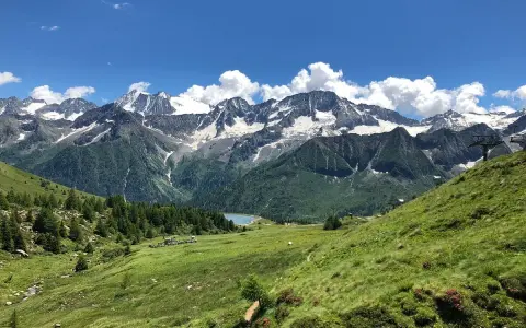 Un sentiero serpeggia tra prati verdi verso un lago alpino, con maestose montagne innevate sullo sfondo. Sembra il luogo ideale per una visita al villaggio delle marmotte.