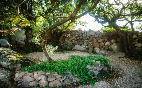 Un angolo del borgo Lu Puleu, con un muretto di pietra ricoperto di verde e alberi secolari che creano un'atmosfera suggestiva.