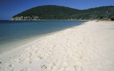 Spiaggia dorata e mare cristallino a Grosseto Mare, con una collina verdeggiante sullo sfondo e una barca a vela all'orizzonte.