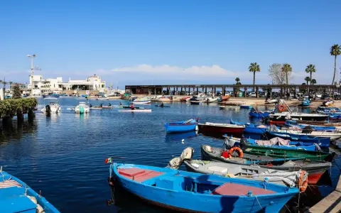 Porto pugliese con barche colorate e palme. Ideale per tappe in macchina in Puglia, tra mare e relax.