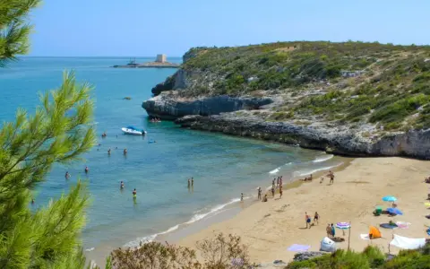 Splendida spiaggia di Peschici con gente che si gode il sole e il mare cristallino, incorniciata da una scogliera verdeggiante.
