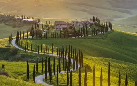 Colline toscane con cipressi e strada tortuosa, un'ispirazione per cosa vedere a Siena e dintorni in 3 giorni.