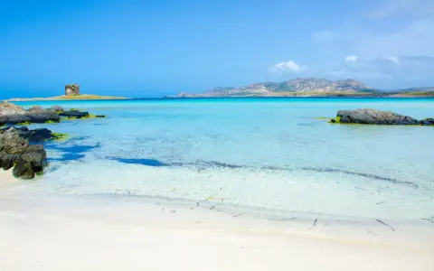 Spiagge di Alghero con torre antica su isolotto e acque cristalline turchesi.