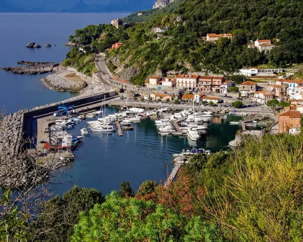 Maratea: un incantevole porto con barche ormeggiate, case colorate e vegetazione lussureggiante. Scopri cosa vedere nel suo centro storico.