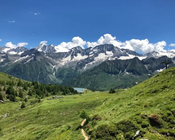 Un sentiero serpeggia tra prati verdi verso un lago alpino, con maestose montagne innevate sullo sfondo. Sembra il luogo ideale per una visita al villaggio delle marmotte.