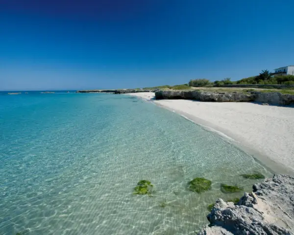 Spiaggia bianca e mare cristallino in Puglia, con rocce e vegetazione. Un angolo di paradiso per godersi il sole e il **mare** della **Puglia**.