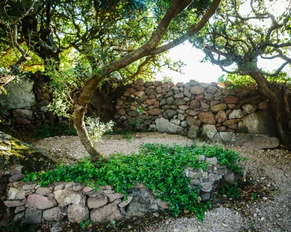 Un angolo del borgo Lu Puleu, con un muretto di pietra ricoperto di verde e alberi secolari che creano un'atmosfera suggestiva.