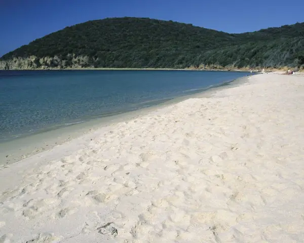 Spiaggia dorata e mare cristallino a Grosseto Mare, con una collina verdeggiante sullo sfondo e una barca a vela all'orizzonte.