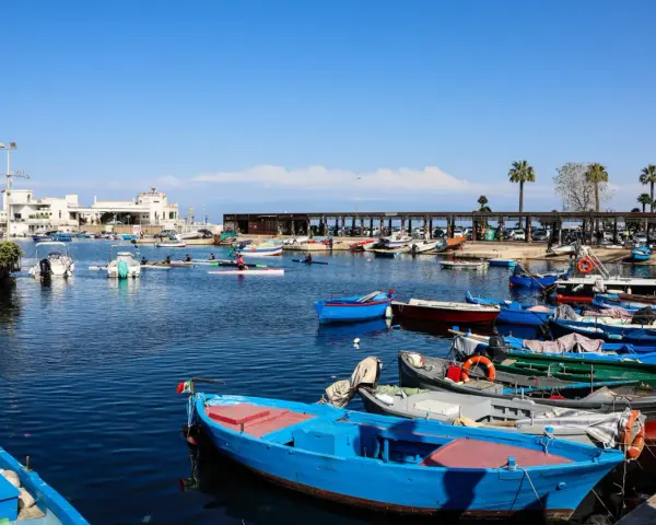 Porto pugliese con barche colorate e palme. Ideale per tappe in macchina in Puglia, tra mare e relax.