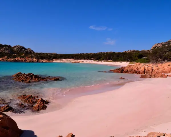 La **spiaggia rosa** di Asinara, con le sue acque turchesi e rocce rossastre, incanta sotto un cielo azzurro.