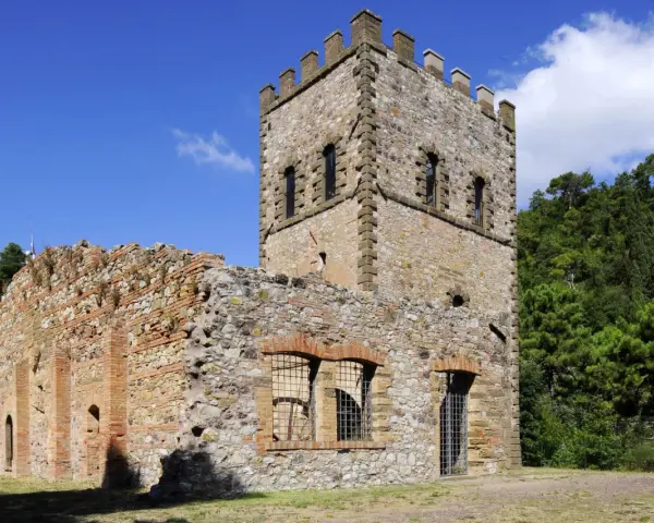 Rovine di un castello con torre merlata a Montecatini Val di Cecina, un luogo suggestivo da esplorare.