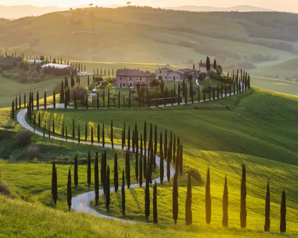 Colline toscane con cipressi e strada tortuosa, un'ispirazione per cosa vedere a Siena e dintorni in 3 giorni.
