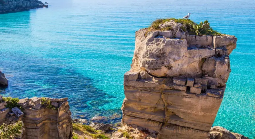 Scogliera rocciosa con mare cristallino, un gabbiano osserva il panorama. Il mare più bello della Sicilia, un'oasi di pace.