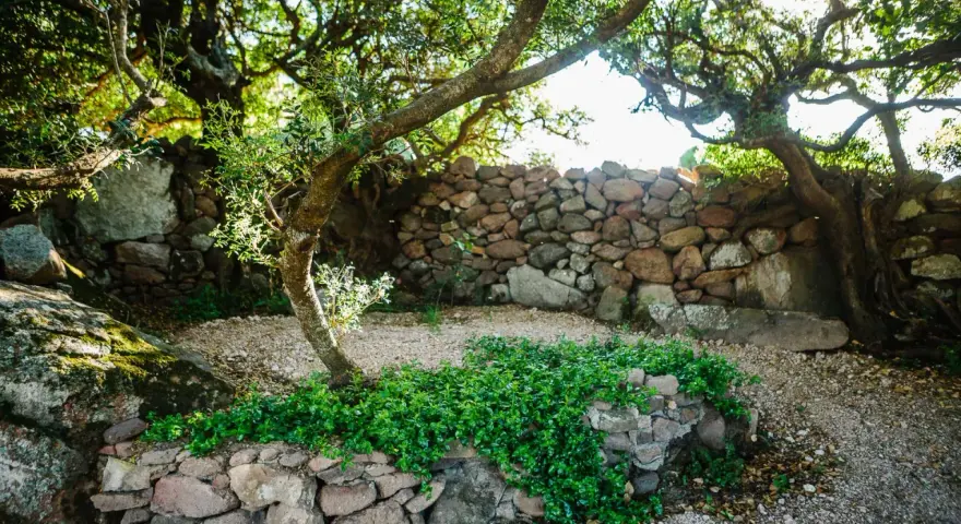 Un angolo del borgo Lu Puleu, con un muretto di pietra ricoperto di verde e alberi secolari che creano un'atmosfera suggestiva.