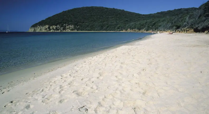 Spiaggia dorata e mare cristallino a Grosseto Mare, con una collina verdeggiante sullo sfondo e una barca a vela all'orizzonte.