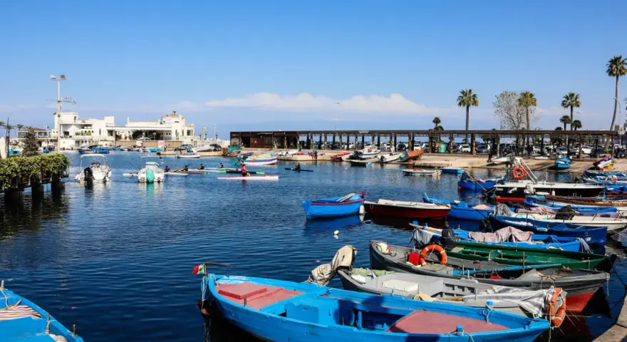 Porto pugliese con barche colorate e palme. Ideale per tappe in macchina in Puglia, tra mare e relax.