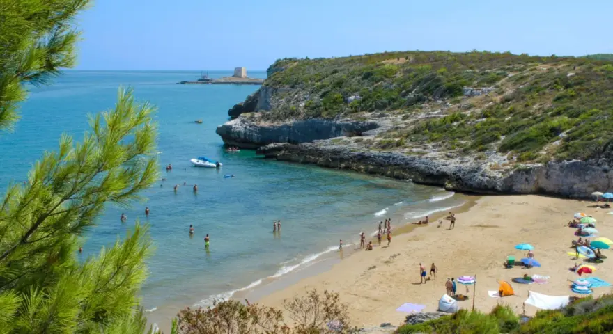 Splendida spiaggia di Peschici con gente che si gode il sole e il mare cristallino, incorniciata da una scogliera verdeggiante.