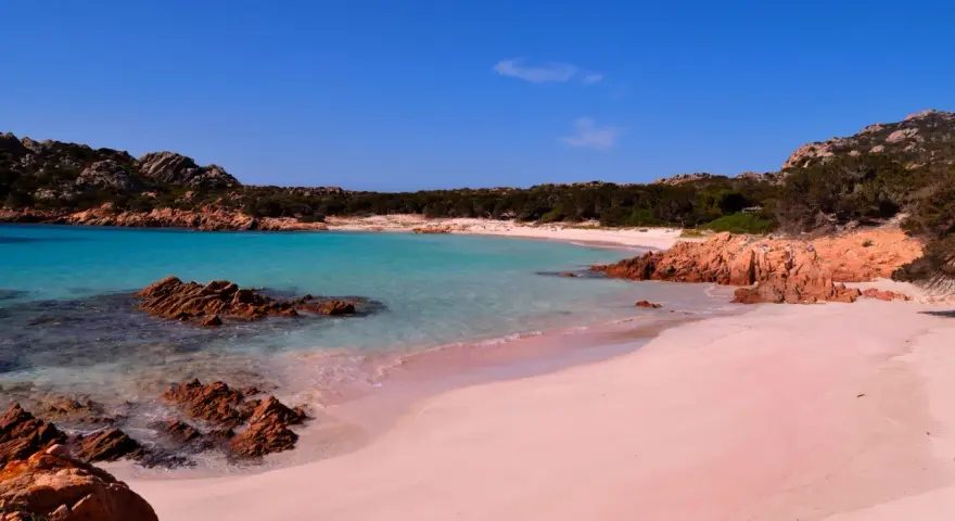 La **spiaggia rosa** di Asinara, con le sue acque turchesi e rocce rossastre, incanta sotto un cielo azzurro.