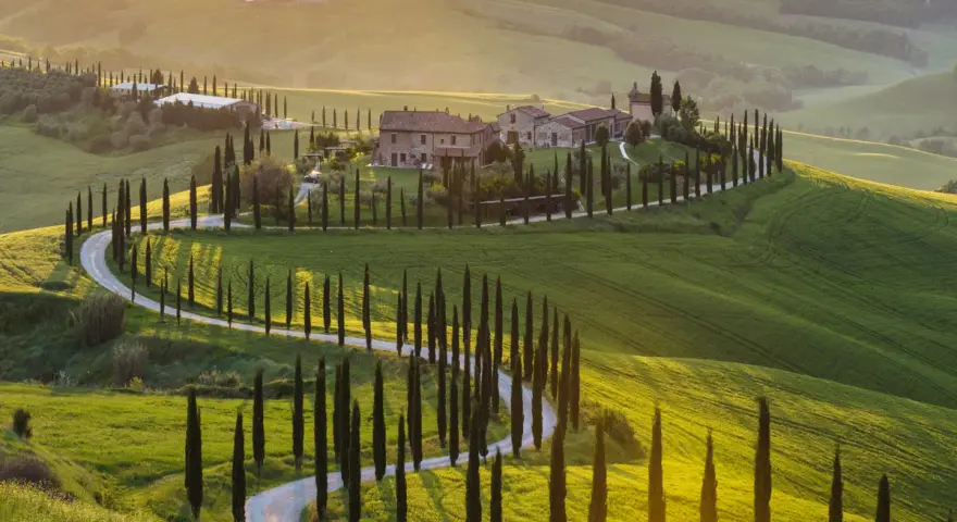 Colline toscane con cipressi e strada tortuosa, un'ispirazione per cosa vedere a Siena e dintorni in 3 giorni.