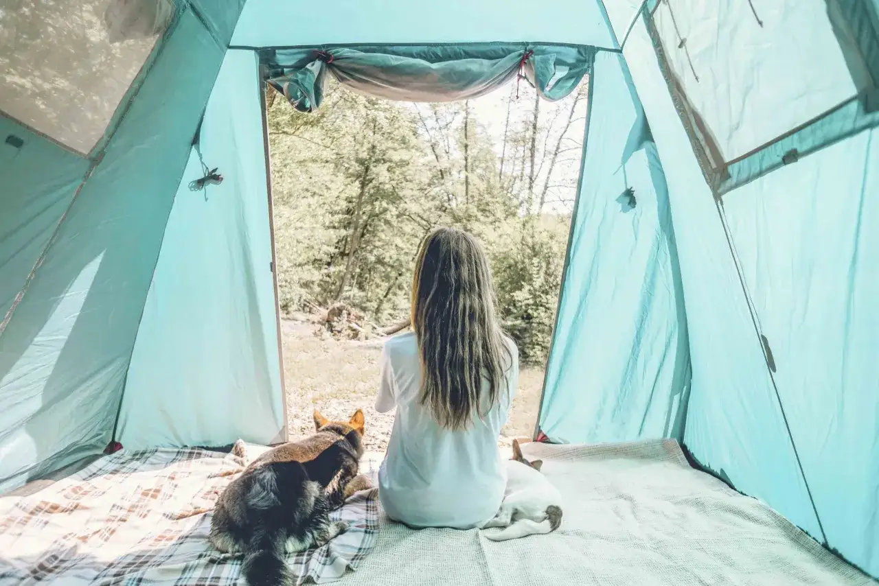 Vista dall'interno di una tenda azzurra, una ragazza con lunghi capelli guarda fuori, accompagnata da due cani. Un'esperienza di glamping nel Chianti.