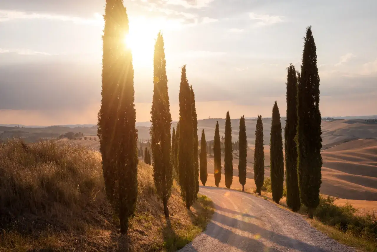 Colline toscane al tramonto, filari di cipressi su una strada sterrata. Forse qual è la regione più bella d'Italia?