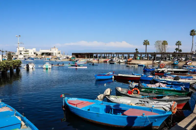 Porto pugliese con barche colorate e palme. Ideale per tappe in macchina in Puglia, tra mare e relax.